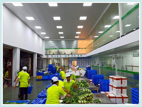 東坑鎮工廠農產品配送服務優勢與信息咨詢服務解析