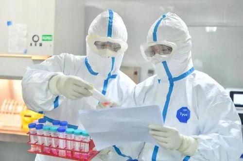 網紅項目驚魂 昆明女子玩溜索突墜，頭先著地引深思